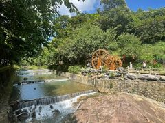 -广州白江湖森林公园