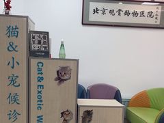 -北京观赏动物医院·24小时大型综合·猫专科·异宠专科