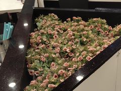 -小杨生煎(龙之梦购物中心店)