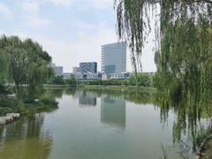 -大兴滨河森林公园