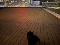 -百好乐宠物友好餐厅(朝外大街店)