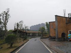 -枫香湖儿童公园