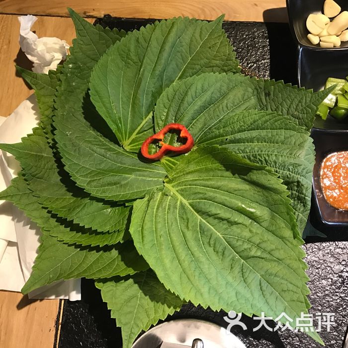 六合顺炭火烤肉苏子叶图片-北京烤肉-大众点评网