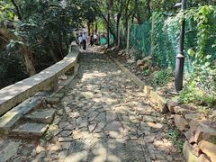 -雨花胜境