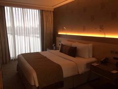 -新加坡雅庭假日酒店