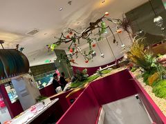 -九鼎轩脆毛肚火锅(三钢里店)