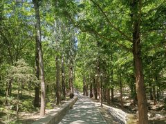 -白水寺森林公园