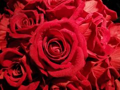 -华豫川酒家(大卫城店)