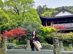 -十八棵（老龙井）御茶园(老龙井店)