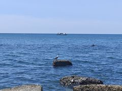 -银沙滩浴场