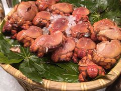 -初色海鲜自助(万丰路店)