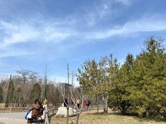 -森林公园(尖草坪区)