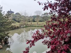 -八大山人梅湖景区