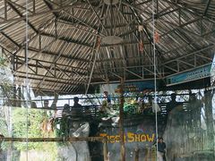 -清迈夜间动物园