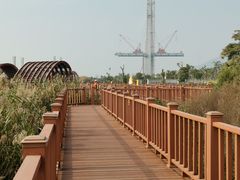 -芒洲湿地公园