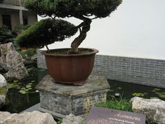 -水绘园