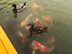 -南宫五洲植物乐园