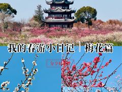 -上海海湾国家森林公园