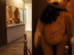 -济州岛泰迪熊博物馆