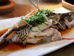 清蒸桂花鱼-宋小谨·泉州菜(西沙湾店)