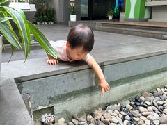 -中国湿地博物馆