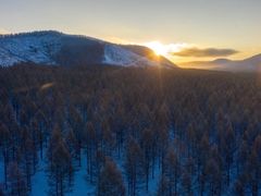 -塞罕坝国家级自然保护区