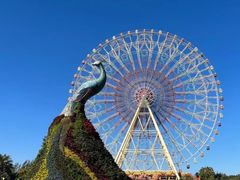 -七彩云南欢乐世界