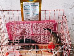 -仲雅水果大卖场(仲雅苑店)