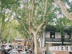 -杭州西湖风景名胜区-北街寻梦
