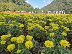 -广州市石门国家森林公园