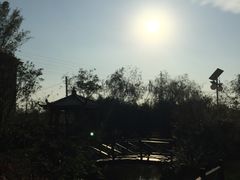 -上海崇明金茂凯悦酒店