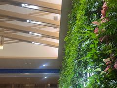 -A+阿加汤宿(大悦城店)