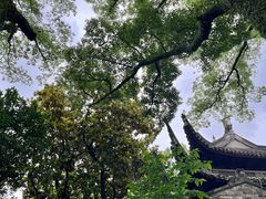 -天一阁博物院