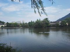 -杭州世外桃源君澜度假酒店