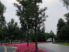 -眉山湿地公园(东坡区)