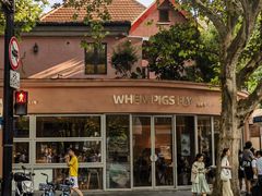 -WHEN PIGS FLY当猪飞