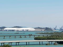 -大亚湾红树林城市湿地公园