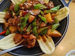 -醉得意·山茶油炒土鸡(泰安火车站大润发店)