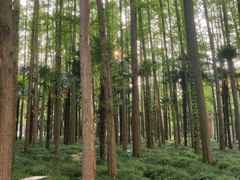 -上海理工大学第五食堂