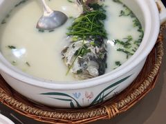 -紫藤园·天目湖大鱼头(南山竹海店)