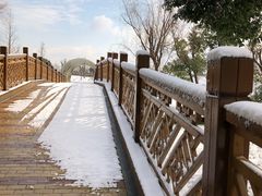 -同里国家湿地公园