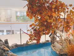 -耕海蟹将军(万象城店)