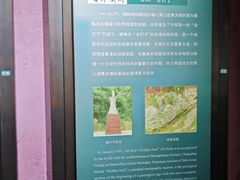 -衢州市博物馆