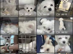 -爱侣宠医·鹦鹉专科·小型哺乳类·异宠专科(灵石路店)