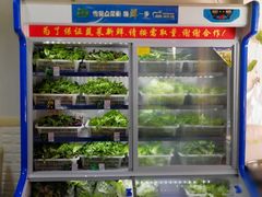 -黔府豆米火锅野菜馆(南马店)