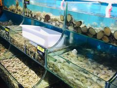 水产区-蟹谢蒸鲜自助餐厅