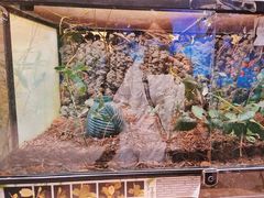 -正佳雨林生态植物园