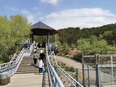 -大青山野生动物园