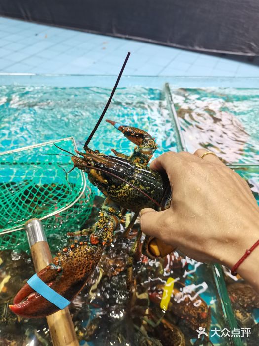 琼大师东方烤乳猪(亚特兰蒂斯店)图片