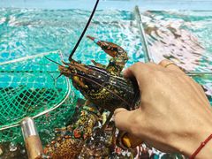 -琼大师东方烤乳猪(亚特兰蒂斯店)